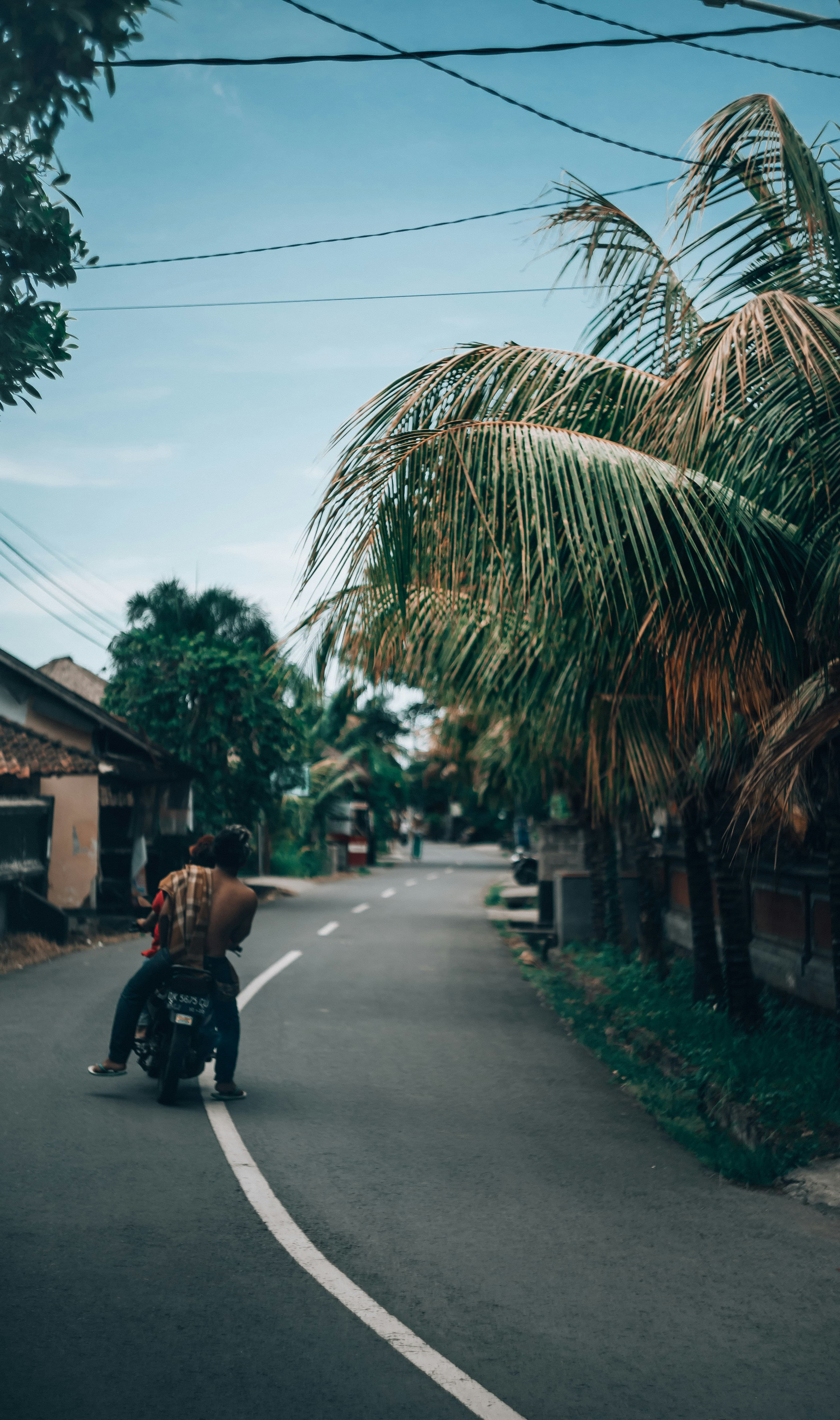 Transportation options for families in Bali